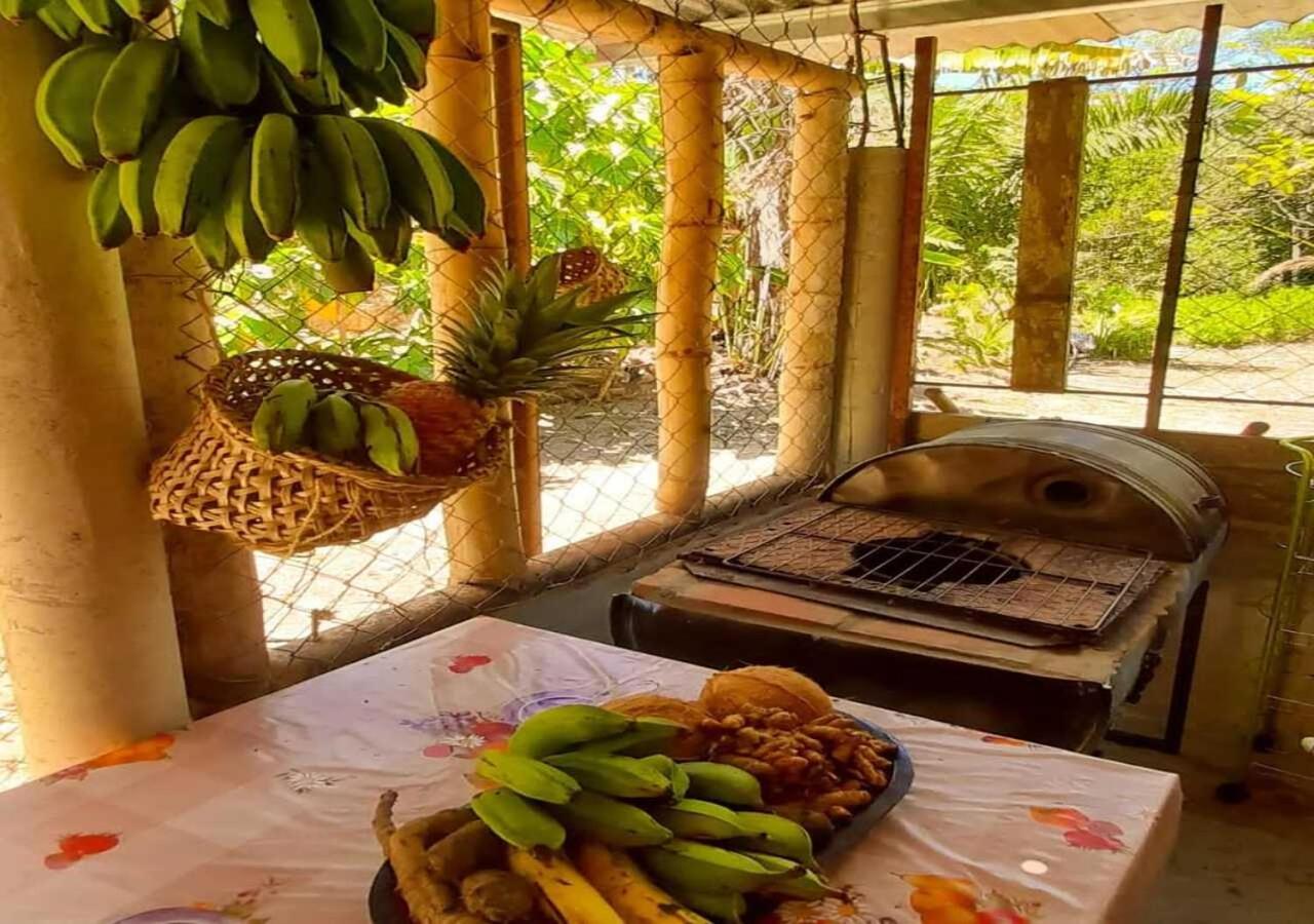 Hostal Familiar El Angel Panama B&B Пахональ-Арриба Экстерьер фото